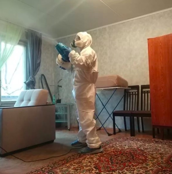 дезинсекция квартиры в Большой Вруде